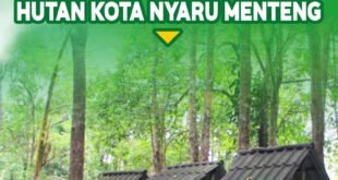 Aboretum Nyaru Menteng, Destinasi Edukasi dan Konservasi di Jantung Palangka Raya