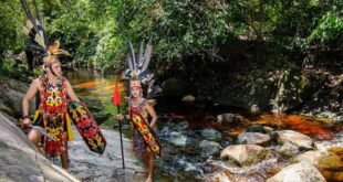 Wisata Alam Sei Batu: Pesona Sungai Jernih di Jantung Palangka Raya