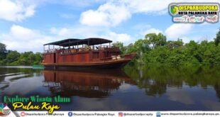Pulau Kaja: Laboratorium Alam Terbuka yang Menghadirkan Pengalaman Berinteraksi Langsung dengan Orangutan Rehabilitasi